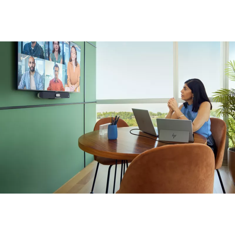 HP Series 5 Pro 14 inch WQXGA Portable Monitor - 514pn