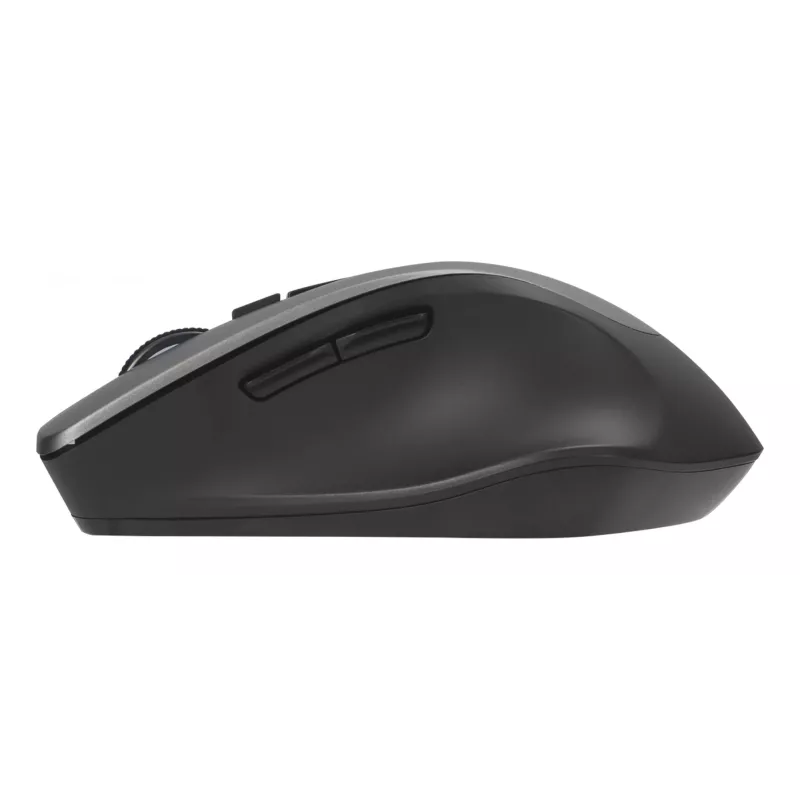 ASUS WT425 mouse Office Right-hand RF Wireless Optical 1600 DPI