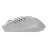 ASUS WT425 mouse Office Right-hand RF Wireless Optical 1600 DPI