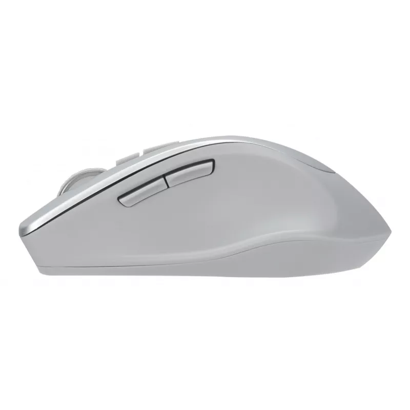 ASUS WT425 mouse Office Right-hand RF Wireless Optical 1600 DPI