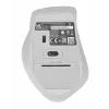 ASUS WT425 mouse Office Right-hand RF Wireless Optical 1600 DPI