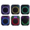 Indoor/outdoor speaker system BLAUPUNKT PB6LED — 40 W RMS, Bluetooth, FM, MicroSD, LED display, 4500 mAh battery