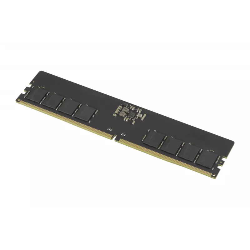 Goodram Pami DDR5 16GB/4800 CL40 - 16 GB memory module 1 x 16 GB 288-pin DIMM ECC