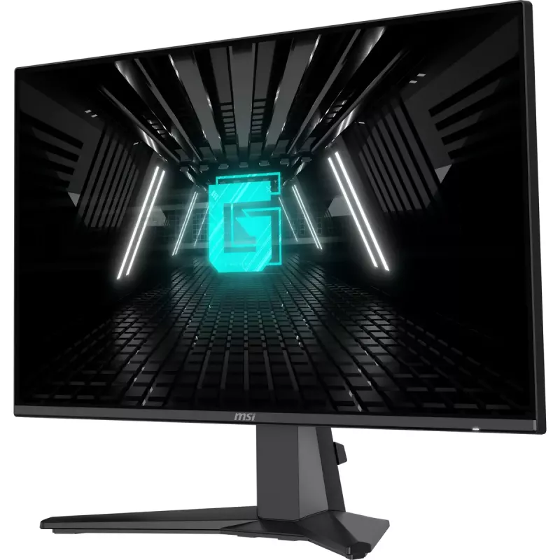 Computer monitor MSI G242L E14 23.8 inch (60.5 cm) Full HD 1920x1080 IPS 1 ms VESA Black