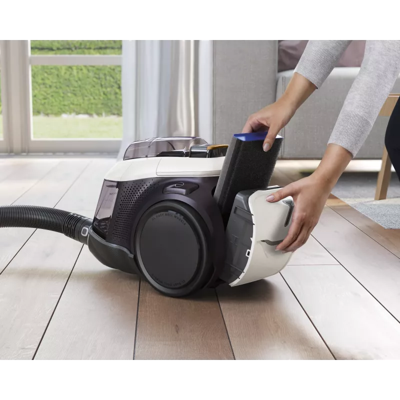 Electrolux PC91-ALRG Cylinder vacuum Dry 650 W Bagless