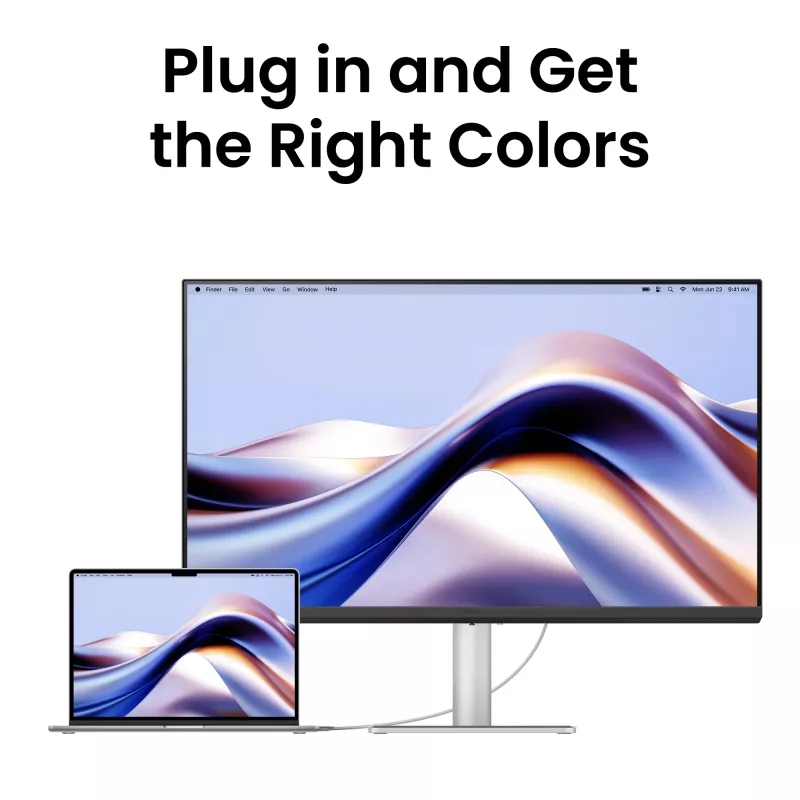 Computer monitor BenQ MA320UP 31.5 inch (80 cm) 3840 x 2160 4K IPS matt, 5 ms, USB-C, built-in speakers, VESA, white