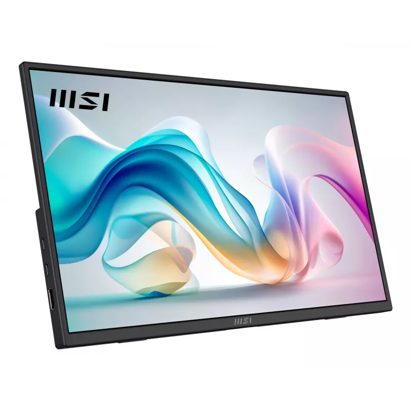 MSI PRO MP165 E6 portable TV/monitor Portable monitor Black 39.6 cm (15.6 inch) LED 1920 x 1080 pixels
