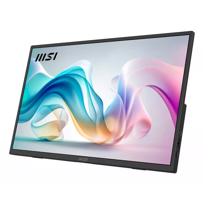 MSI PRO MP165 E6 portable TV/monitor Portable monitor Black 39.6 cm (15.6 inch) LED 1920 x 1080 pixels