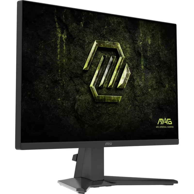 MSI MAG 245F X24 computer monitor 60.5 cm (23.8 inch) 1920 x 1080 pixels Full HD LCD Black