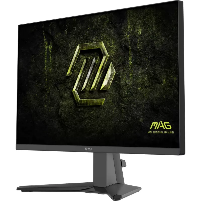 MSI MAG 245F X24 computer monitor 60.5 cm (23.8 inch) 1920 x 1080 pixels Full HD LCD Black