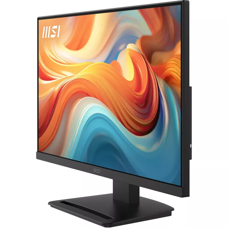 Computer monitor MSI Pro MP241 E14V 23.8 inch (60.5 cm) Full HD 1920×1080 VA LCD, 4 ms, VESA, Black