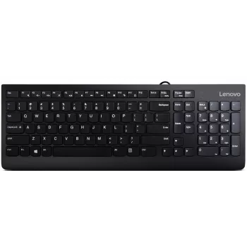 Lenovo 300 keyboard Universal USB QWERTY US English Black