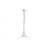 Ceiling Mount Multibrackets M Universal Projector Mount I
