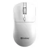 Sandberg Wireless Mouse Saver White, Ambidextrous, RF Wireless, 1600 DPI, White