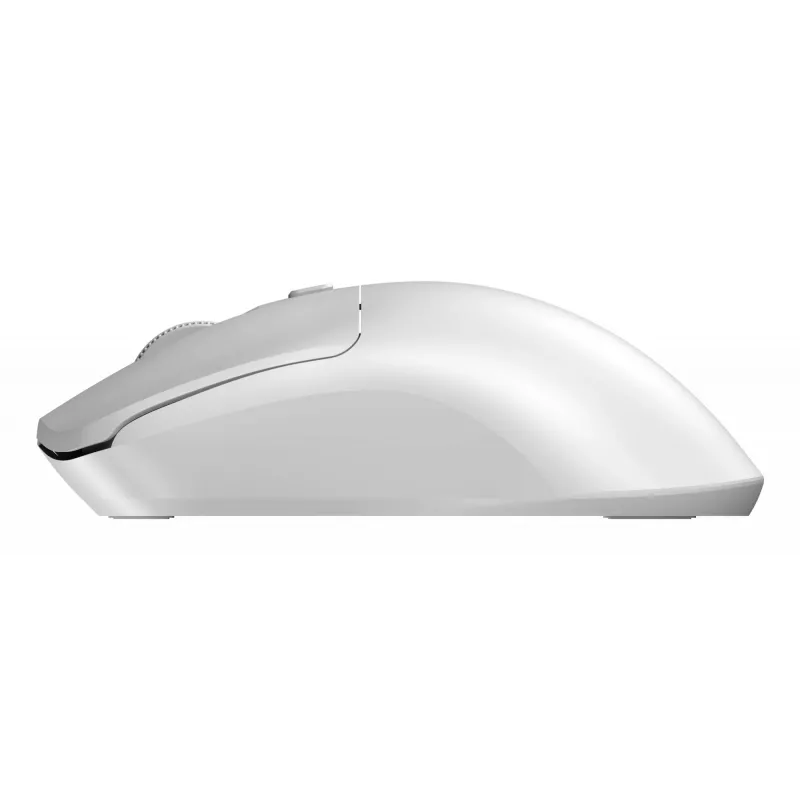 Sandberg Wireless Mouse Saver White, Ambidextrous, RF Wireless, 1600 DPI, White