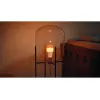 Philips Hue White and colour ambience A60 – E27 smart bulb – 810