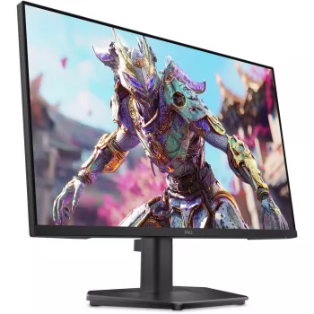 LCD computer monitor Dell SE2426HG 23.8 inch (60.5 cm) Full HD 1920×1080, 0.5 ms, 16:9, VESA, Black