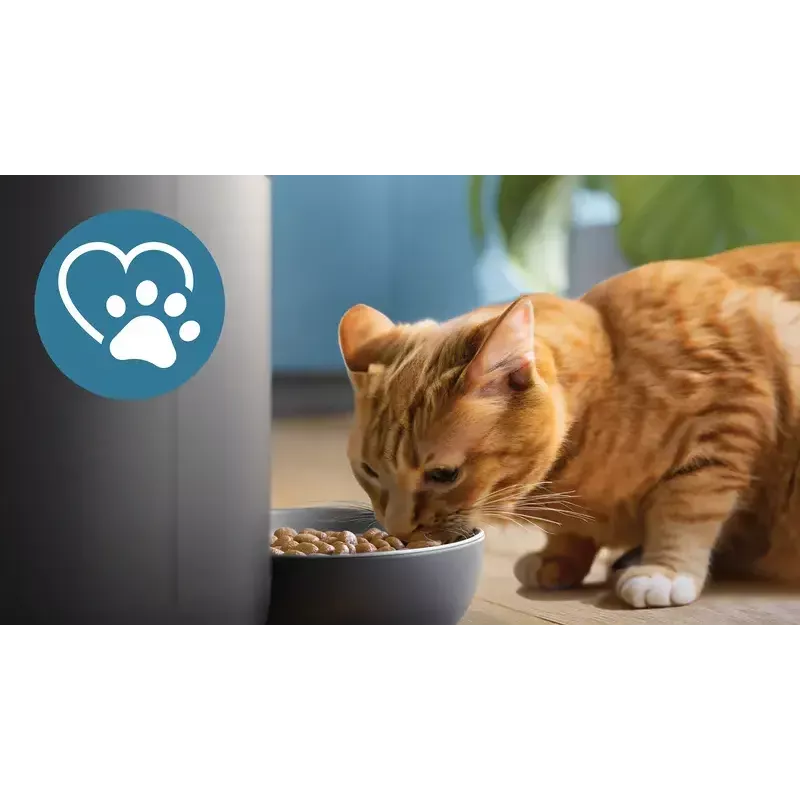 Automatic pet feeder Philips 5000 series PAW5320/02 with camera, 4.5 L food and water capacity, plastic housing, indoor use
