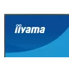 27 inch IIYAMA ProLite XB2796QSC-B1 IPS Quad HD 2560x1440 LED monitor, 4 ms, USB-C, speakers, height adjustable, VESA