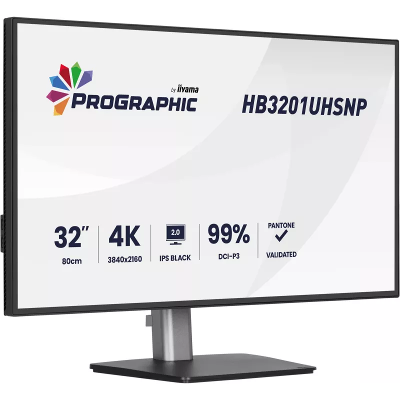 IIYAMA 32 inch ProGraphic HB3201UHSNP-B1 4K UHD IPS LCD monitor with USB-C and DisplayPort