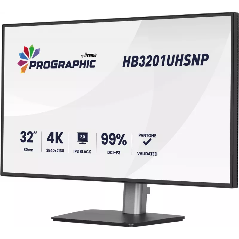 IIYAMA 32 inch ProGraphic HB3201UHSNP-B1 4K UHD IPS LCD monitor with USB-C and DisplayPort