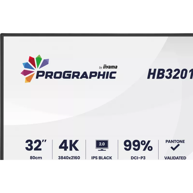 IIYAMA 32 inch ProGraphic HB3201UHSNP-B1 4K UHD IPS LCD monitor with USB-C and DisplayPort