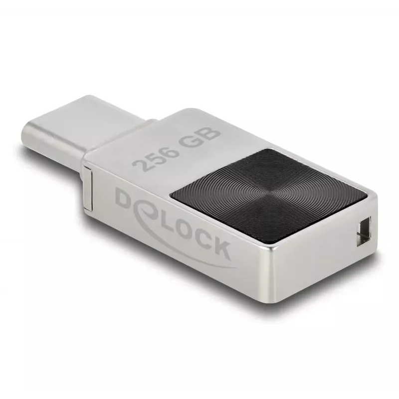 USB Flash Drive DeLOCK 256GB USB-C 3.2 Gen 1 Metal Housing
