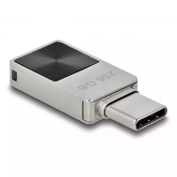 USB Flash Drive DeLOCK 256GB USB-C 3.2 Gen 1 Metal Housing