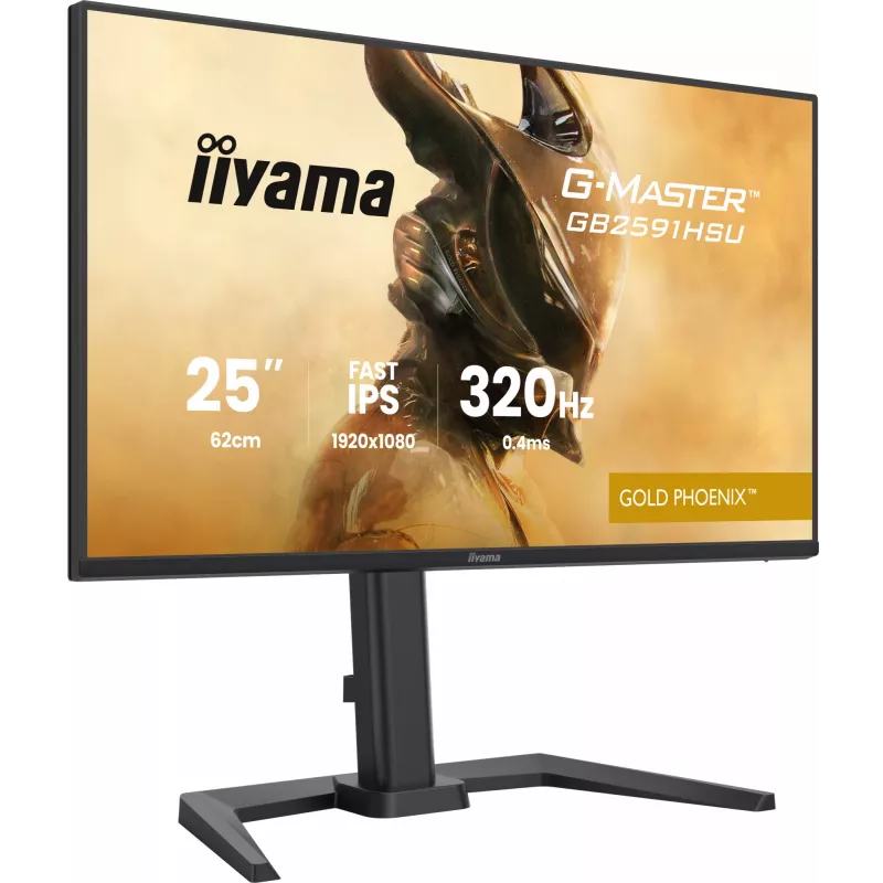 Gaming monitor IIYAMA G-Master GB2591HSU-B1 24.5 inch (68.6 cm) Full HD — HDMI/DisplayPort/USB, black