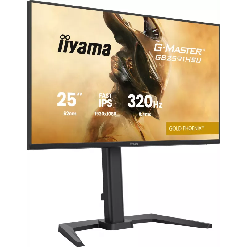 Gaming monitor IIYAMA G-Master GB2591HSU-B1 24.5 inch (68.6 cm) Full HD — HDMI/DisplayPort/USB, black