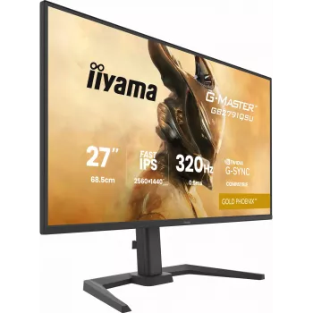 Gaming monitor IIYAMA GB2791QSU-B1 27 inch (68.6 cm) QHD with HDMI, DisplayPort and USB, black