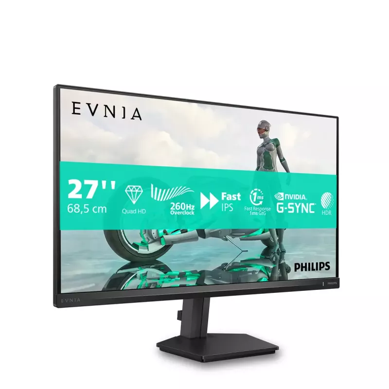 Computer monitor Philips Evnia 3000 27M2N3500PF/00 27 inch (68.6 cm) Quad HD 2560×1440 LCD, 16:9, VESA, Black