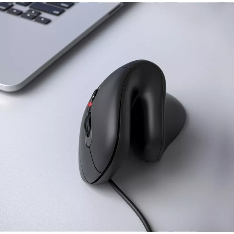 Equip 245119 mouse Universal Right-hand USB Type-A + USB Type-C Optical 7200 DPI