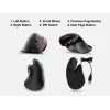 Equip 245119 mouse Universal Right-hand USB Type-A + USB Type-C Optical 7200 DPI