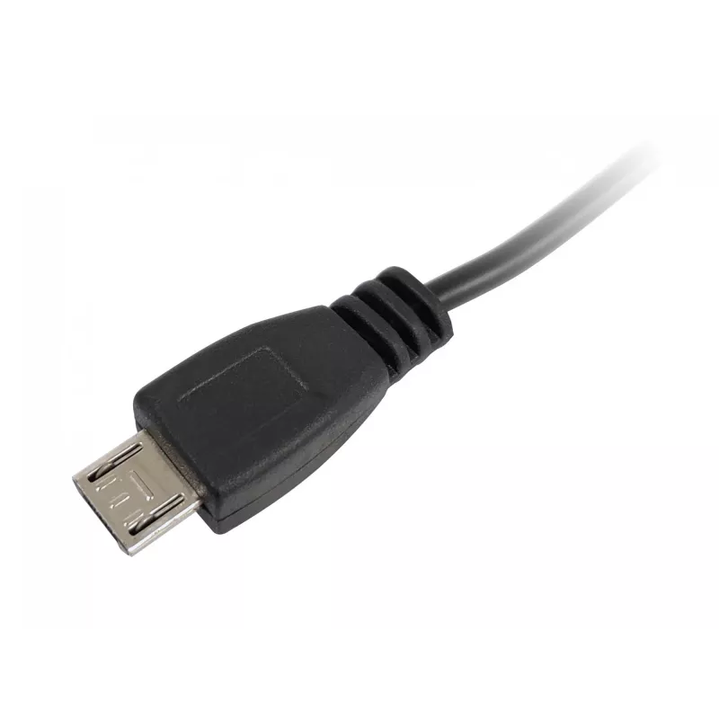 VGA to HDMI Adapter with Audio Equip 119038