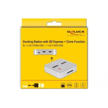 Docking Station DeLOCK 64138