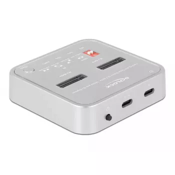 Docking Station DeLOCK 64138
