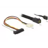 SAS Cable DeLOCK 83391 1m Multicolour