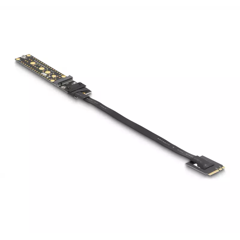 DeLOCK Riser Card NVMe M.2 Key A+E male to Key M Slot 20 cm cable