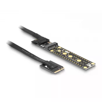 DeLOCK Riser Card NVMe M.2 Key A+E male to Key M Slot 20 cm cable