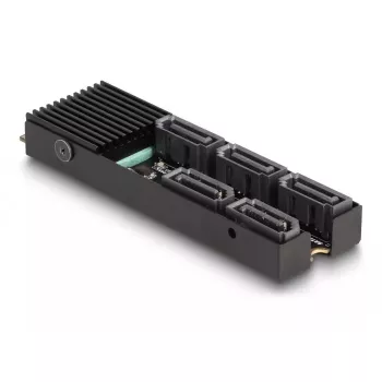 DeLOCK Converter M.2 2280 Key B+M male to 5 x SATA with heat sink