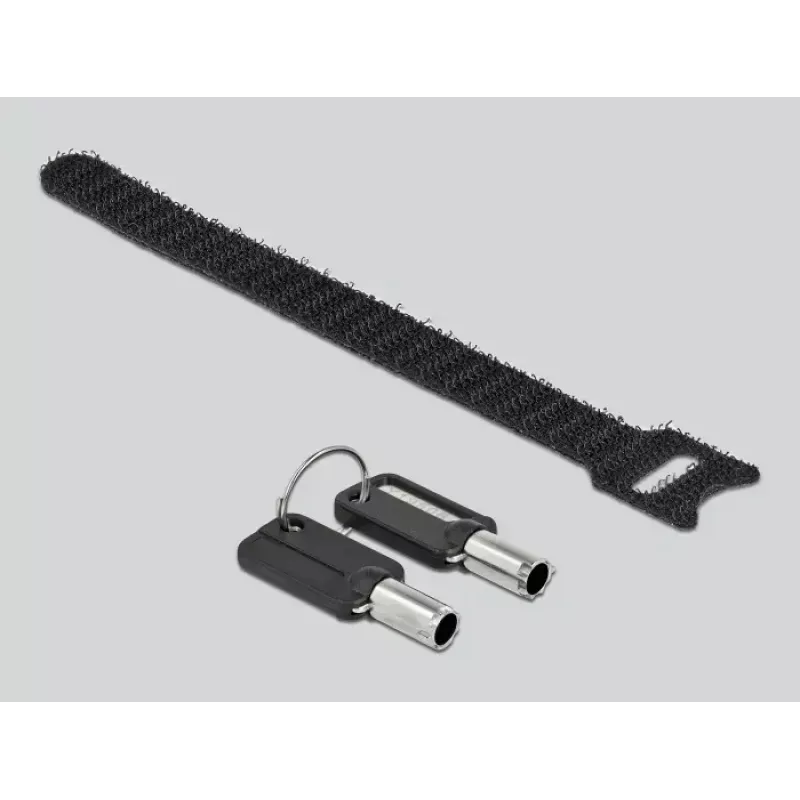 Security Cable DeLOCK 20691 HP Nano Slot Carbon Steel