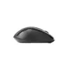 Mouse Rapoo M500 Silent Right-hand RF Wireless Bluetooth Optical