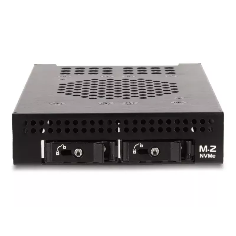 HDD Cage DeLOCK 47070 Rack Compatible Metal 100mm Width