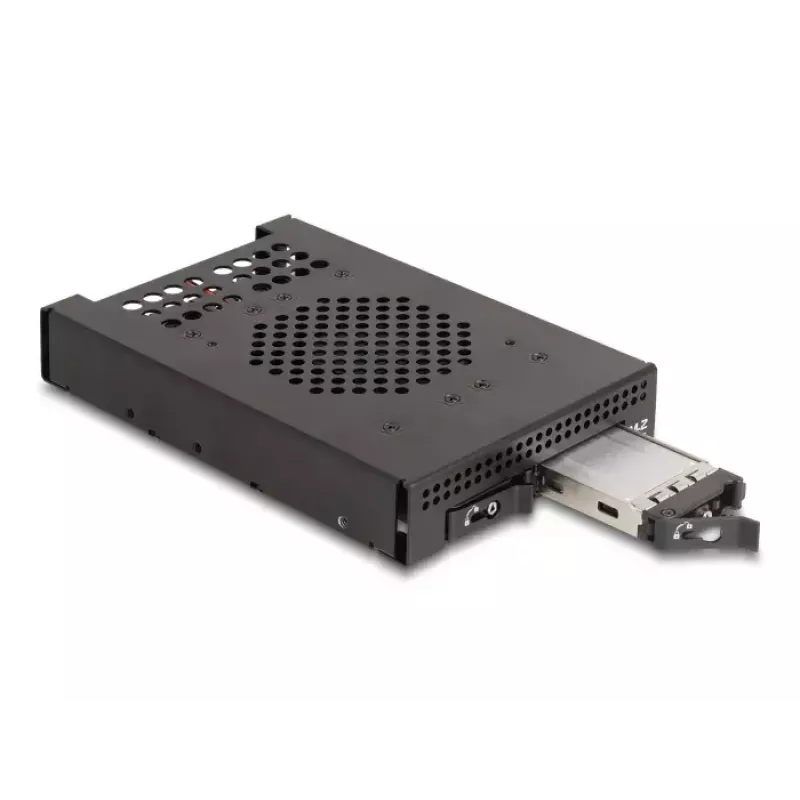 HDD Cage DeLOCK 47070 Rack Compatible Metal 100mm Width