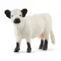 Schleich Galloway Cow 13960 Black White Recommended Age 3+