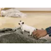 Schleich Galloway Cow 13960 Black White Recommended Age 3+
