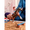 schleich HORSE CLUB Hannah's Western Adventures, 5 yr(s), Horses, Multicolour, Plastic