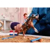 schleich HORSE CLUB Hannah's Western Adventures, 5 yr(s), Horses, Multicolour, Plastic