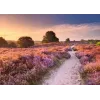 Jigsaw Puzzle Ravensburger Pink Pathway Netherlands, 1000 pieces, 700×? mm, 2 mm thick